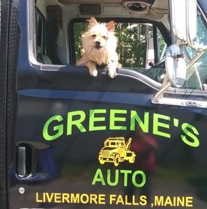 Meet your Posher, Ellen